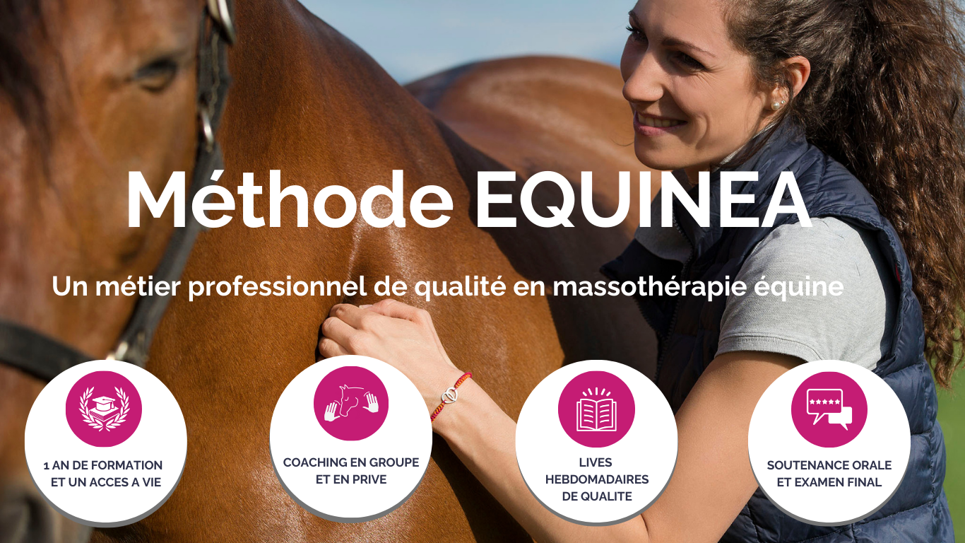 Academy EQUINEA (3)