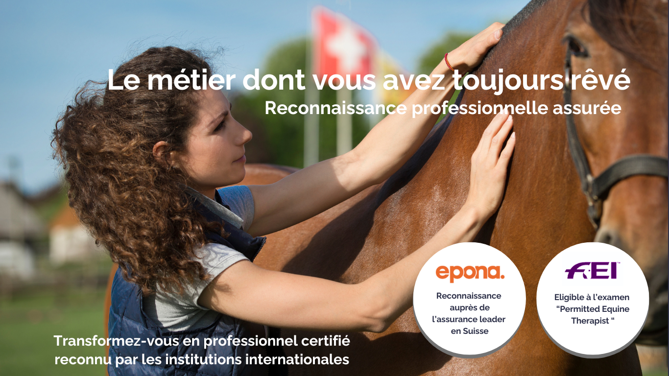 Academy EQUINEA (4)