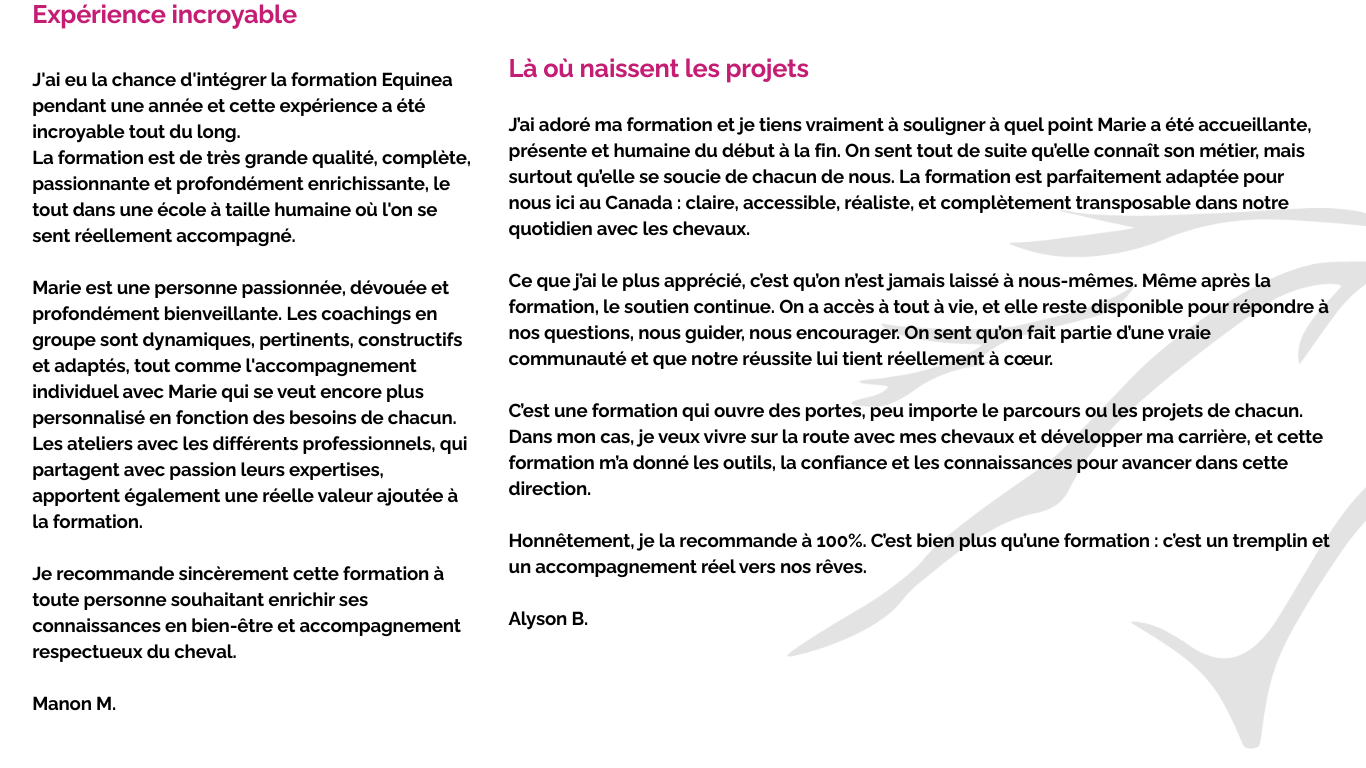 Academy EQUINEA (10)