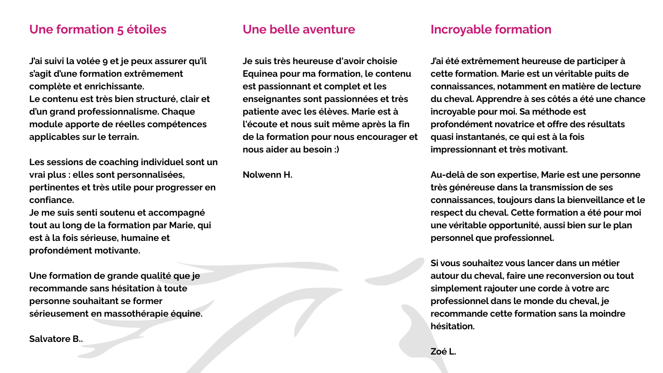 Academy EQUINEA (11)