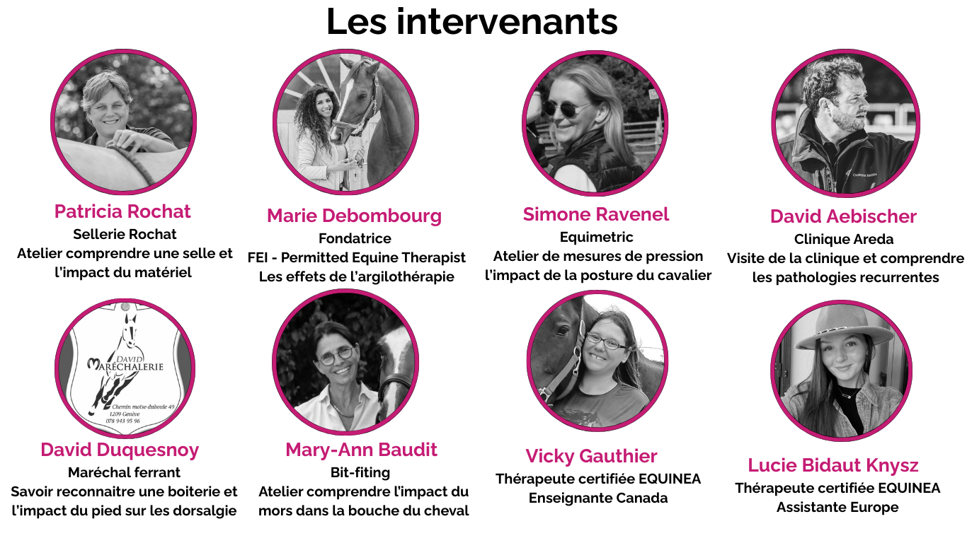 Academy EQUINEA (15)