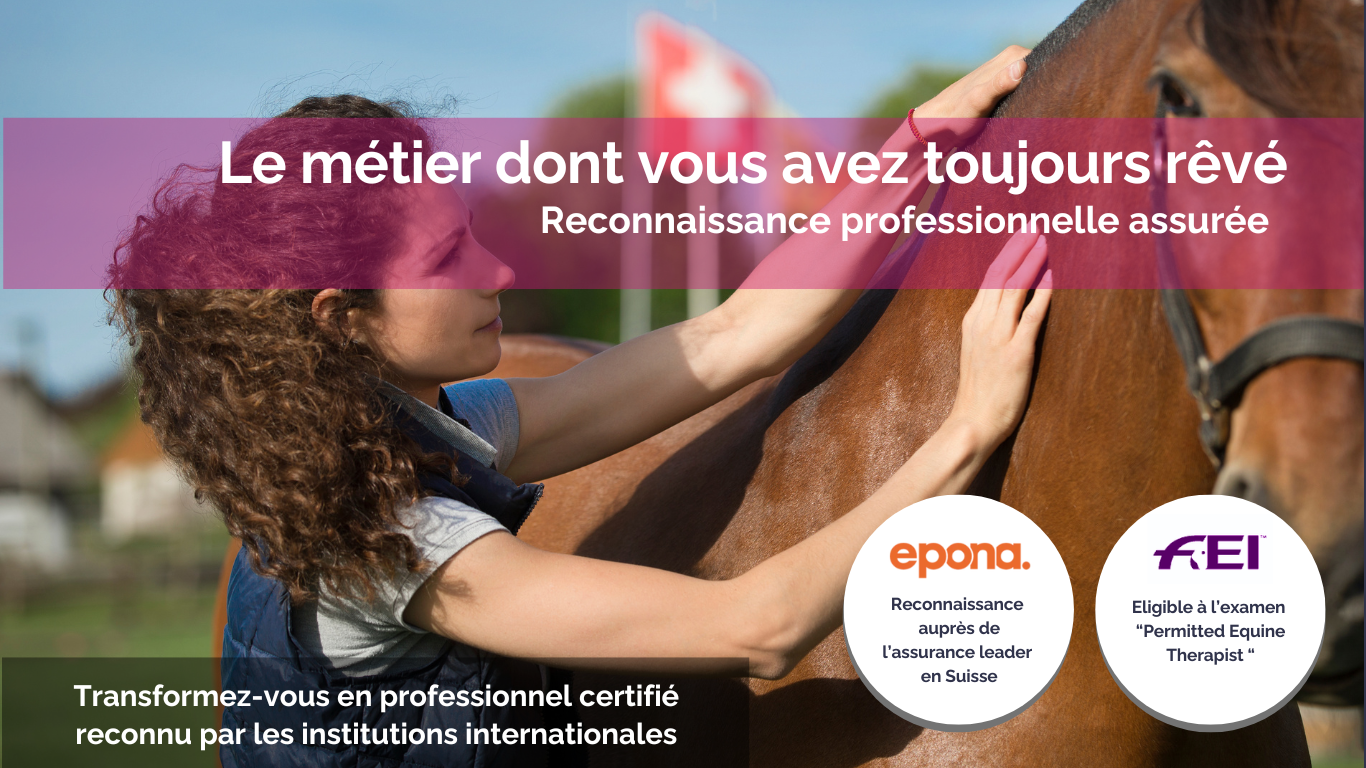 Academy EQUINEA (1)