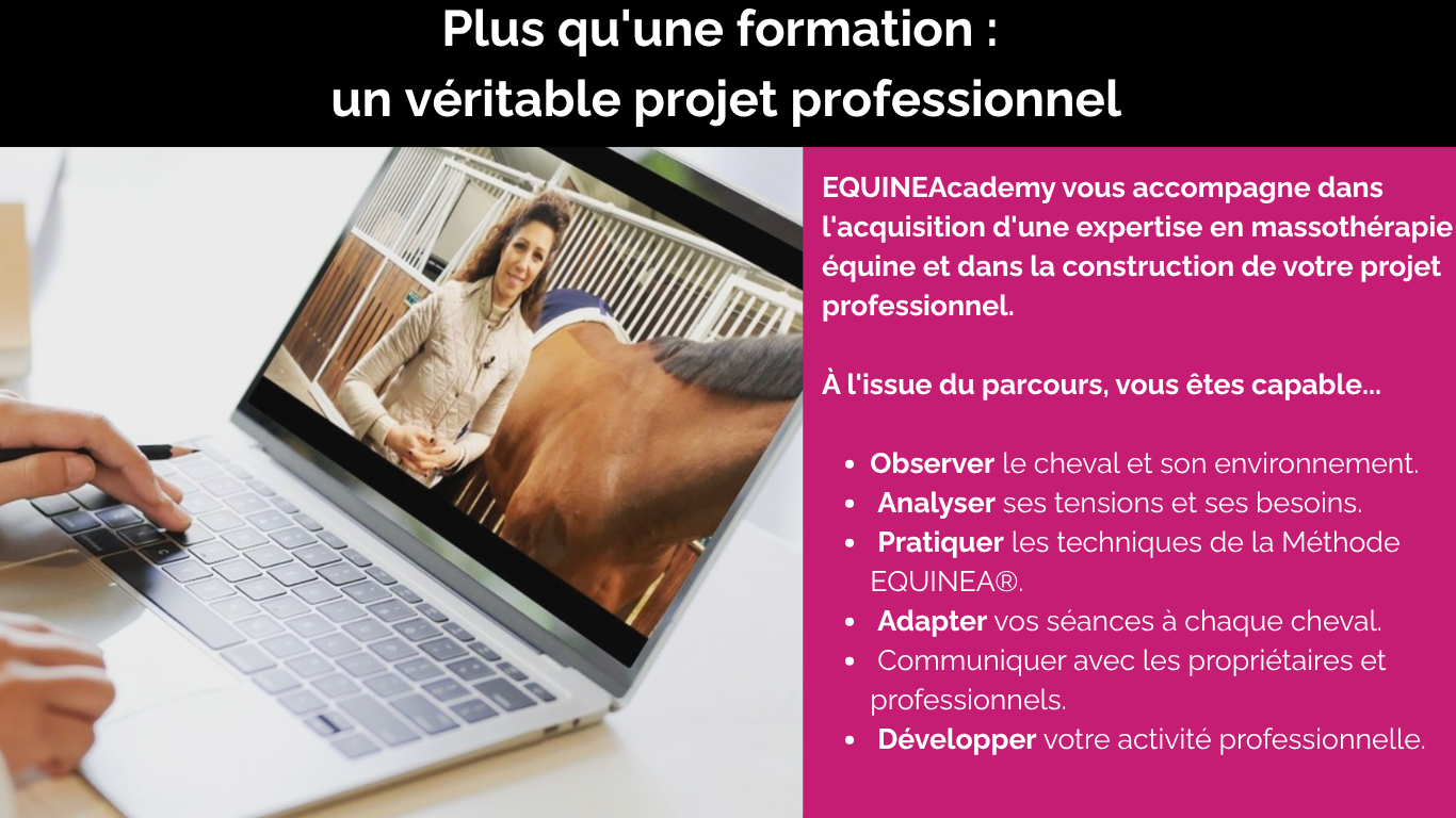 Academy EQUINEA (3)