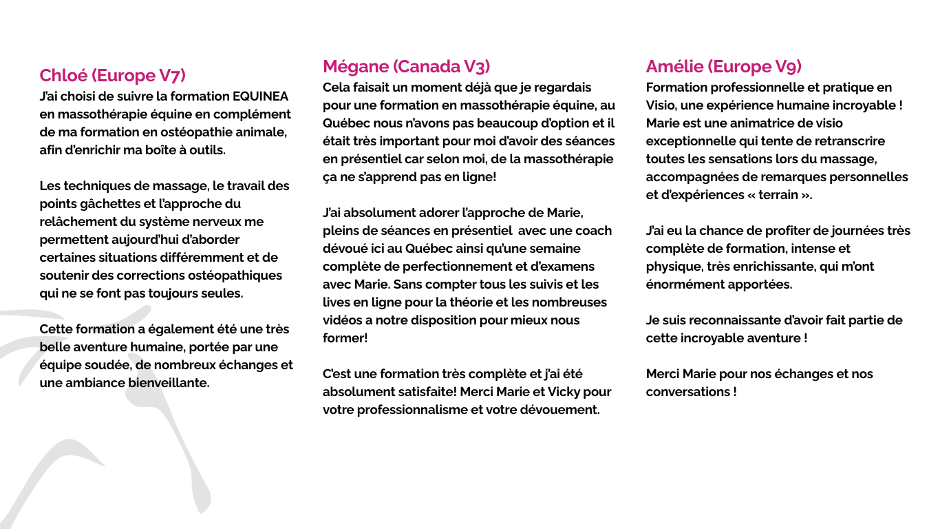 Academy EQUINEA (4)