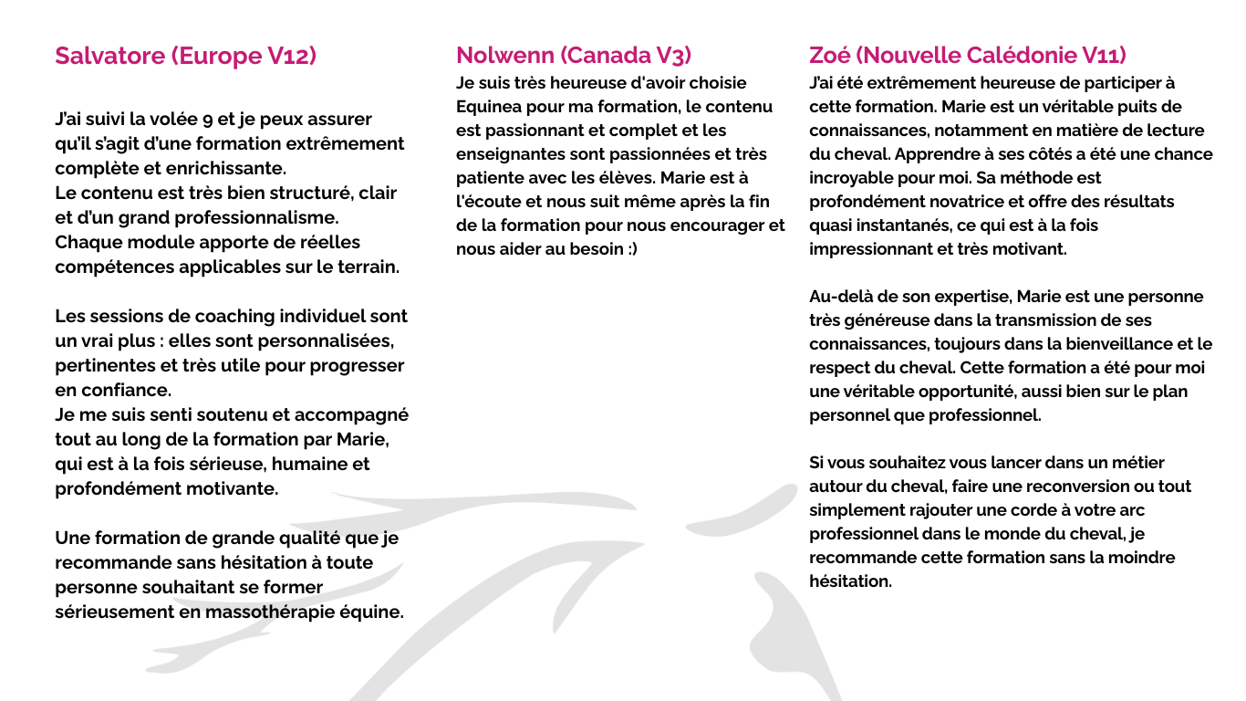 Academy EQUINEA (6)