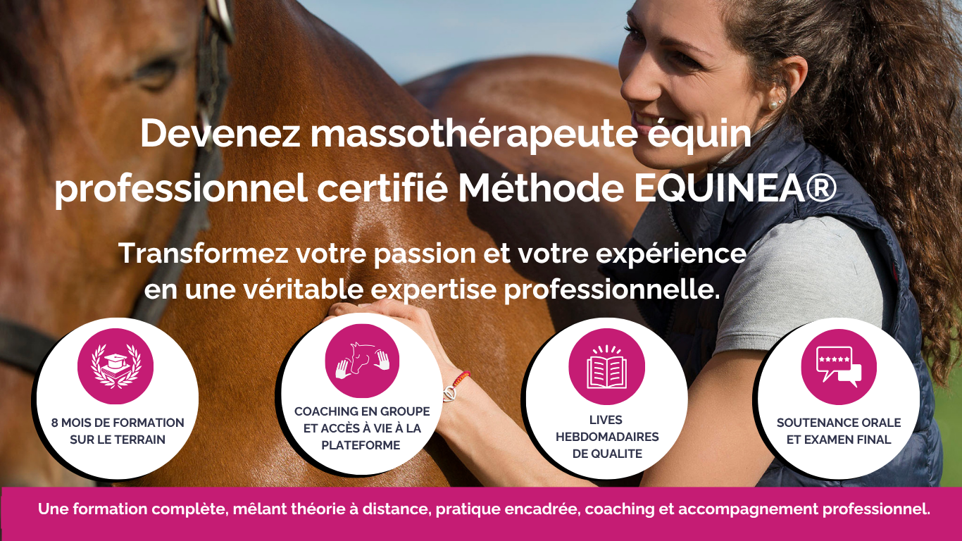 Academy EQUINEA